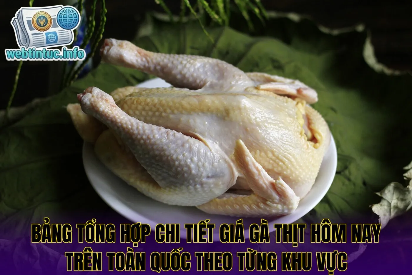 Bảng tổng hợp chi tiết giá gà thịt hôm nay trên toàn quốc theo từng khu vực