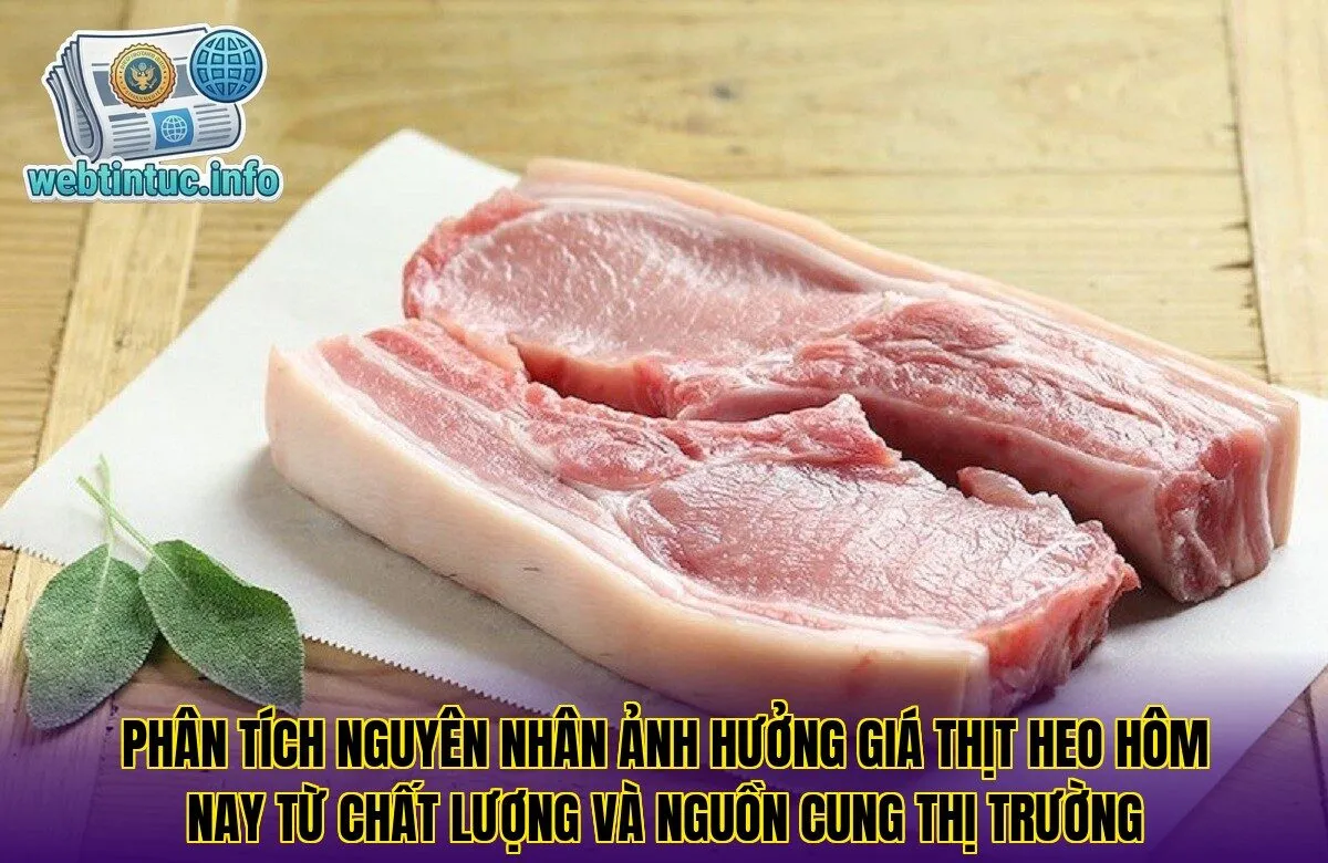 Phân tích nguyên nhân ảnh hưởng giá thịt heo hôm nay từ chất lượng và nguồn cung thị trường