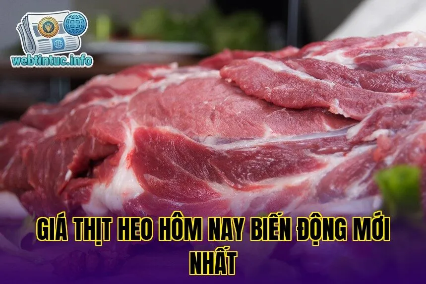 Giá Thịt Heo Hôm Nay Biến Động Mới Nhất