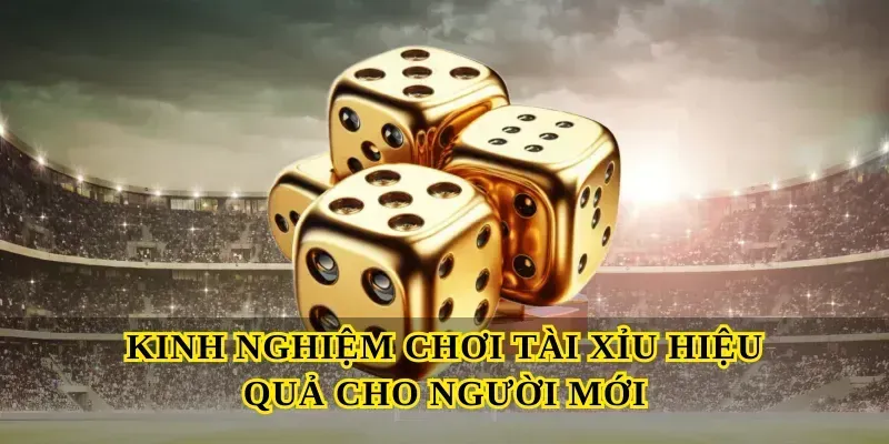 Kinh nghiệm chơi Tài xỉu hiệu quả cho người mới